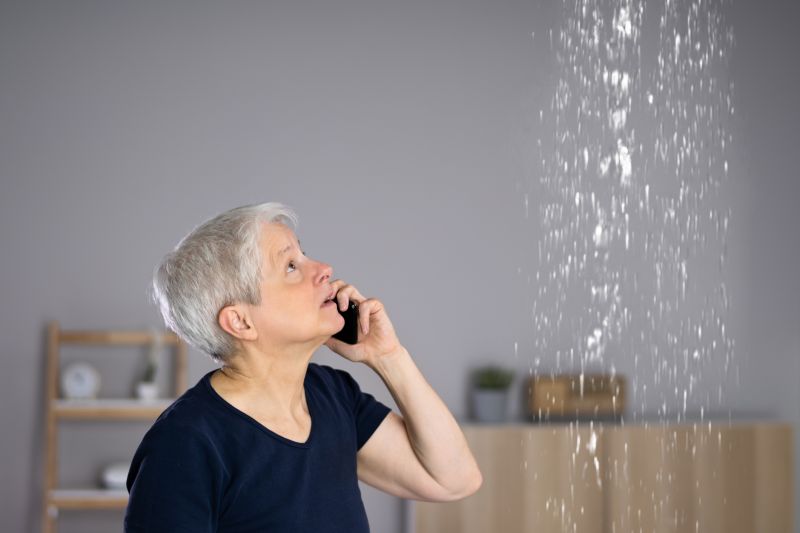 Water Intrusion Service