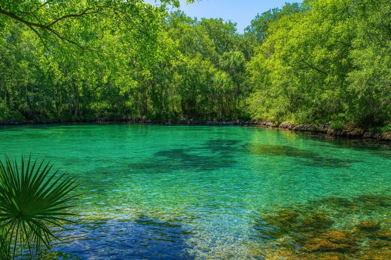 Water Intrusion Service