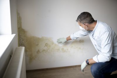 Mold Risk Assessment
