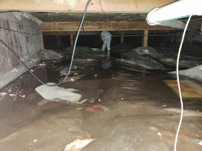 Water Intrusion Service